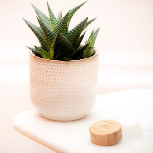 Organic Lip Balm